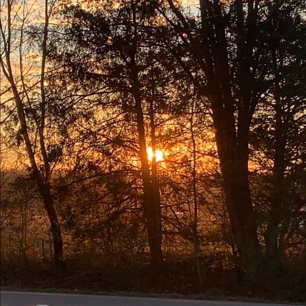 Meet your Posher, Kaelyn